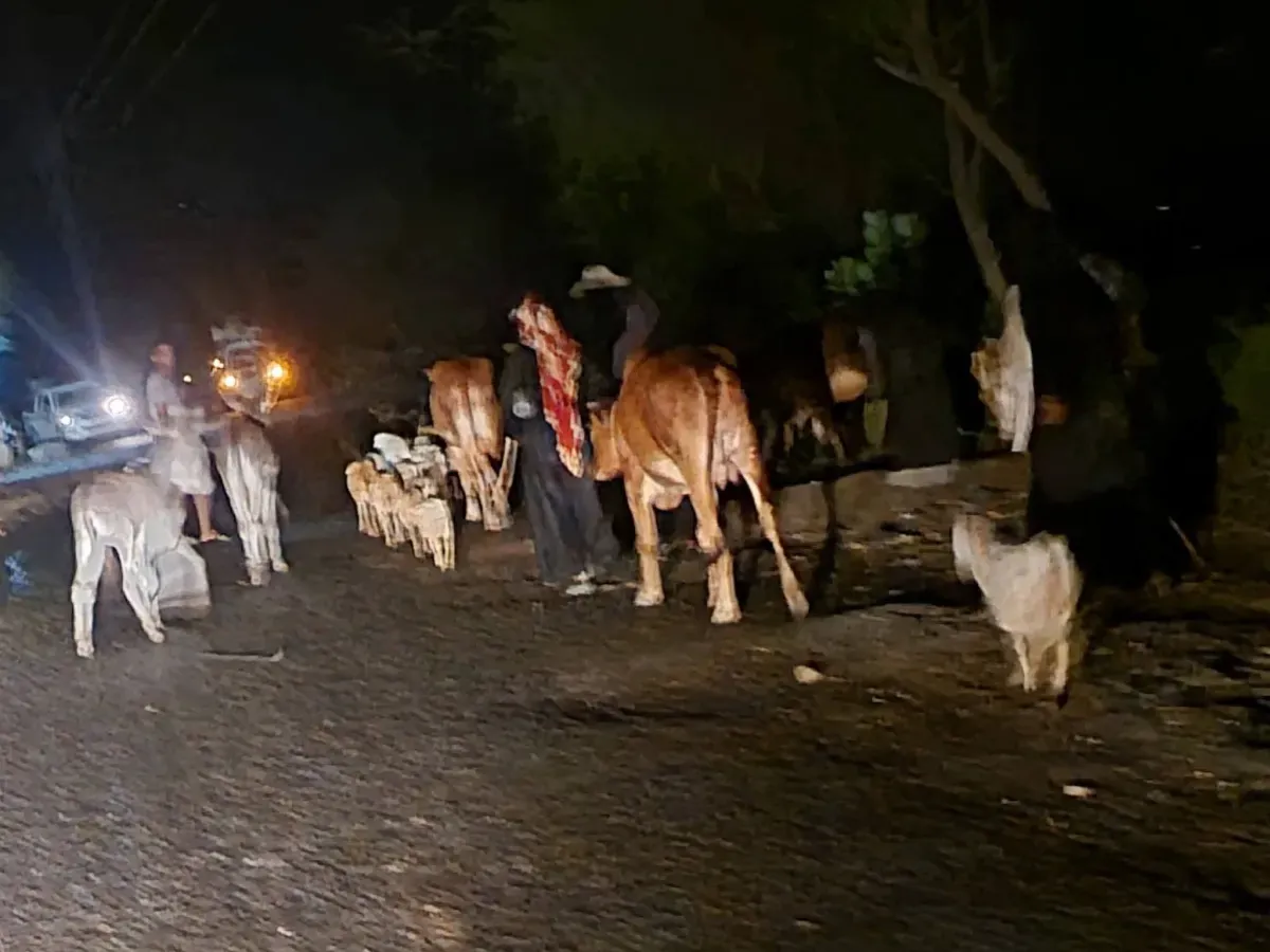 Houthi Shelling Displaces Hundreds in Al-Hudaydah