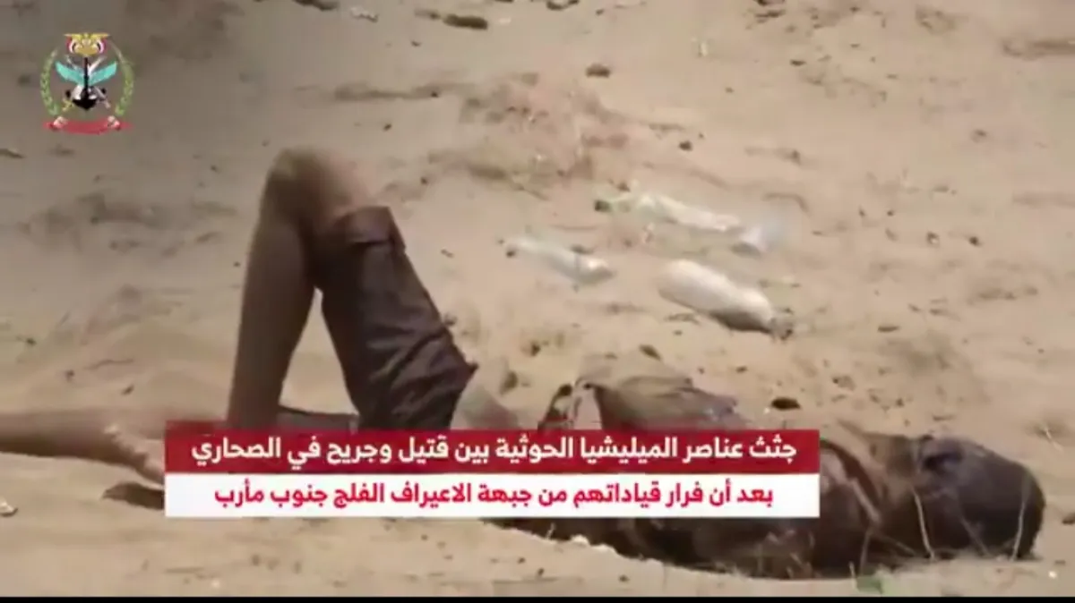 تسجيل عسكري يوثق قتلى وجرحى حوثيين في جبهات مأرب الجنوبية